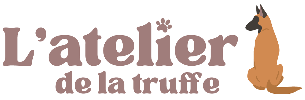 LOGO-transparent-smart